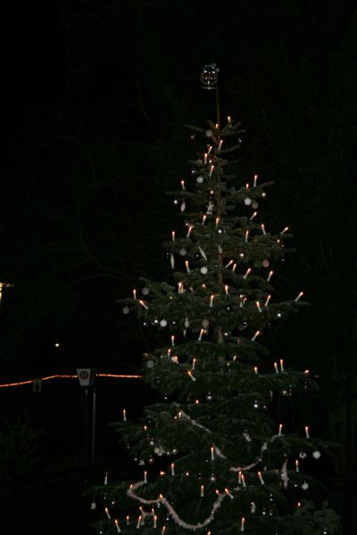Weihnachtsfeier im Henkell-Park (20. 12. 2008)