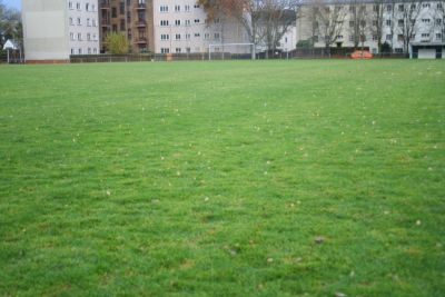 Ausw&auml;rtsspiel bei der SG Germania